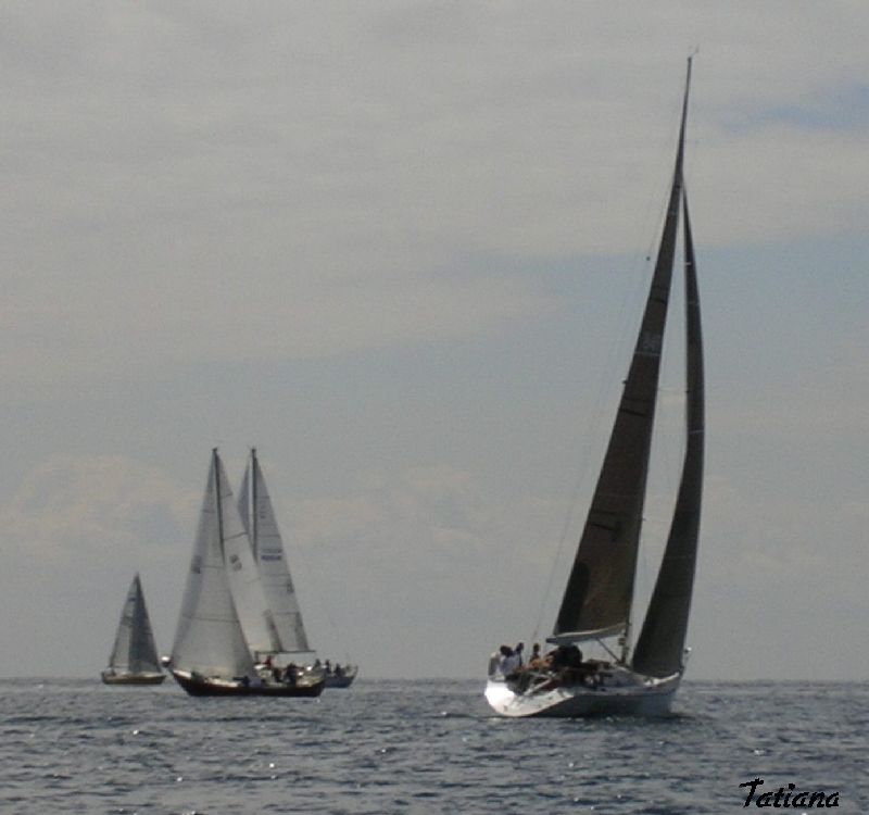 Sailboats racing on Lake Ontario