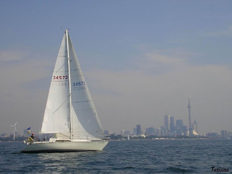 Fleet racing on Lake Ontario